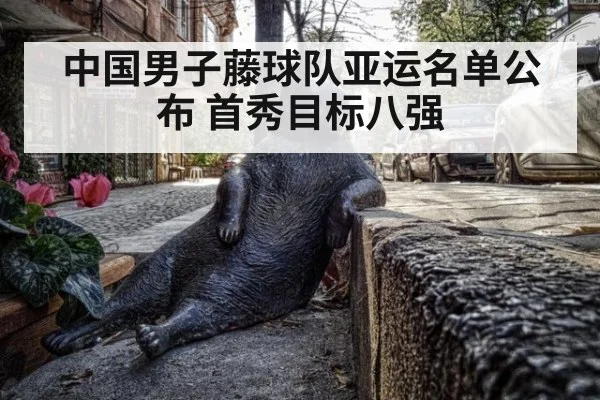 中国男子藤球队亚运名单公布 首秀目标八强