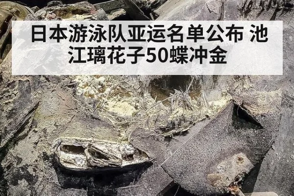 日本游泳队亚运名单公布 池江璃花子50蝶冲金